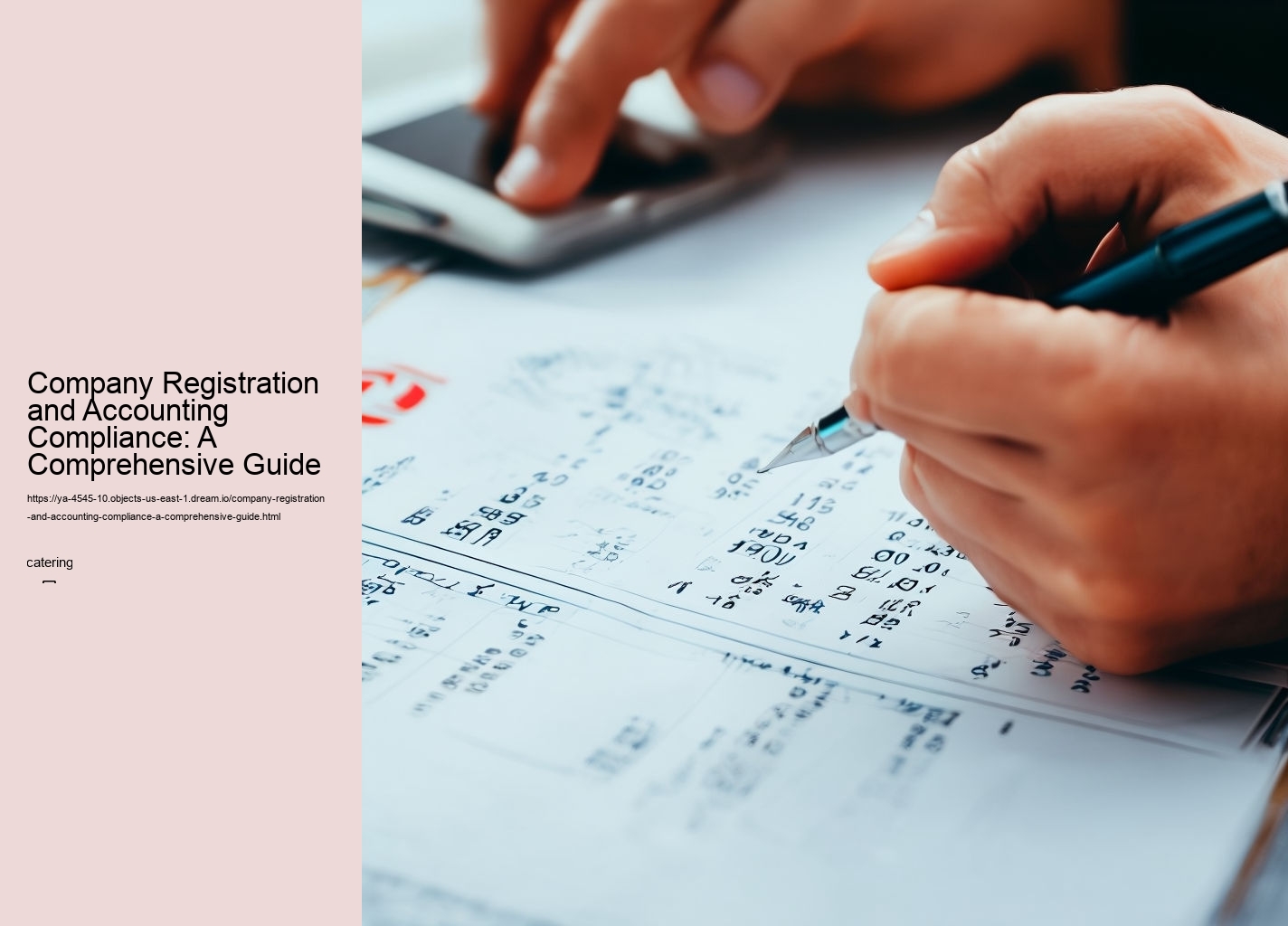 Company Registration and Accounting Compliance: A Comprehensive Guide