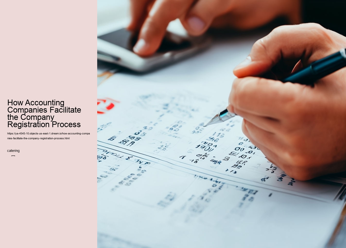 How Accounting Companies Facilitate the Company Registration Process