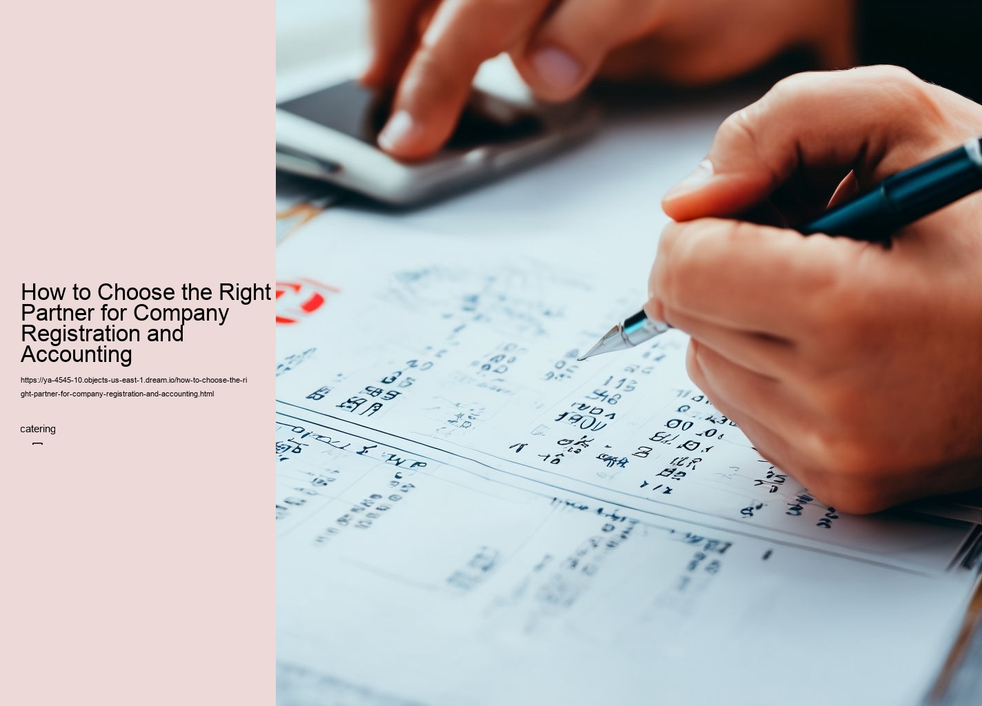 How to Choose the Right Partner for Company Registration and Accounting